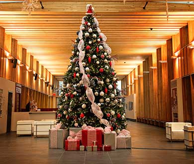 Интерьерные ёлки в Красноярске