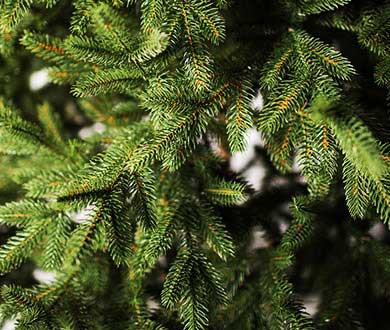 Искусственные ёлки люкс в Красноярске