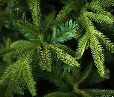 Искусственные ёлки премиум в Красноярске